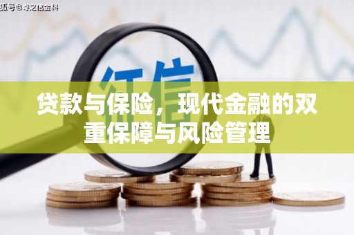 宾川贷款与保险，现代金融的双重保障与风险管理