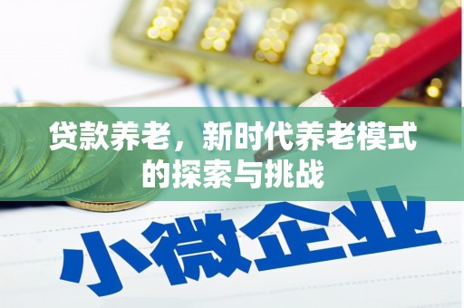 宾川贷款养老，新时代养老模式的探索与挑战