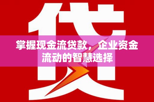 宾川掌握现金流贷款，企业资金流动的智慧选择