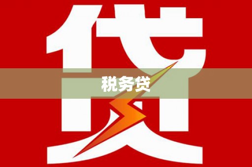 宾川税务贷