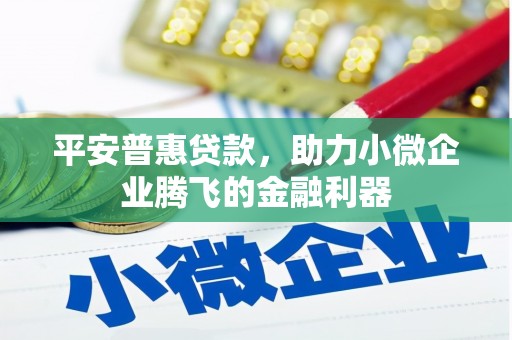 宾川平安普惠贷款，助力小微企业腾飞的金融利器