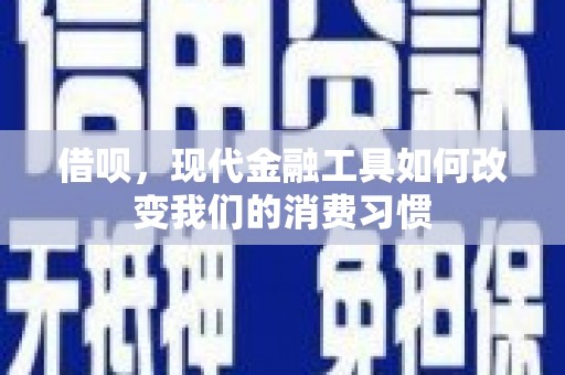 宾川借呗，现代金融工具如何改变我们的消费习惯