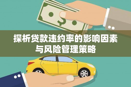 宾川探析贷款违约率的影响因素与风险管理策略