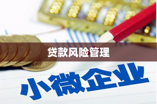 宾川贷款风险管理