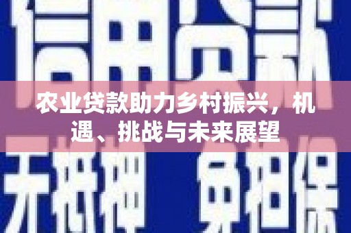 宾川农业贷款助力乡村振兴，机遇、挑战与未来展望