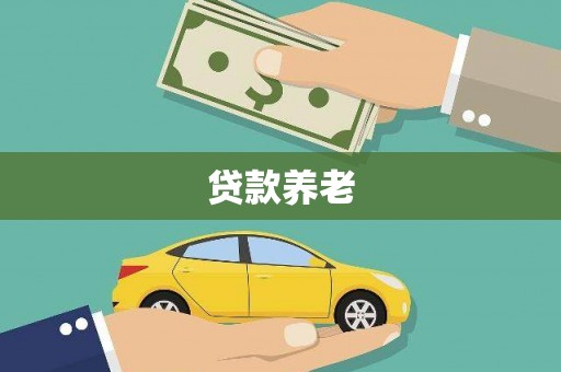 宾川贷款养老