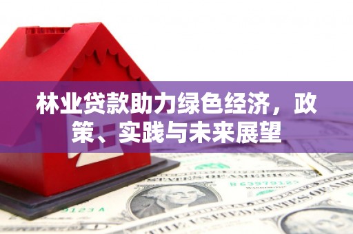宾川林业贷款助力绿色经济，政策、实践与未来展望
