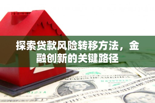 宾川探索贷款风险转移方法，金融创新的关键路径