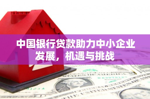 宾川中国银行贷款助力中小企业发展，机遇与挑战