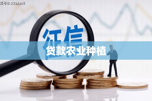 宾川贷款农业种植