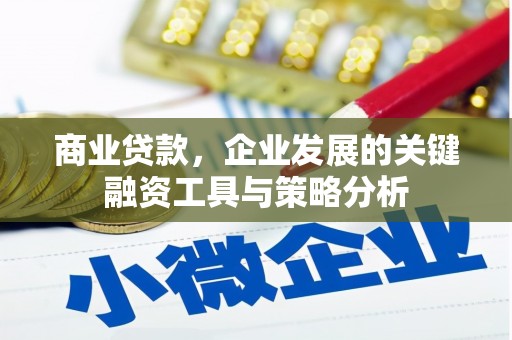 宾川商业贷款，企业发展的关键融资工具与策略分析