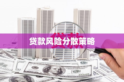 宾川贷款风险分散策略