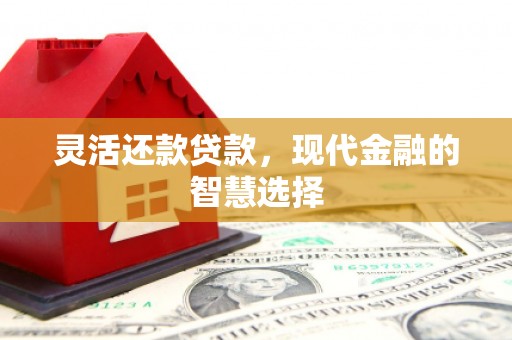 宾川灵活还款贷款，现代金融的智慧选择