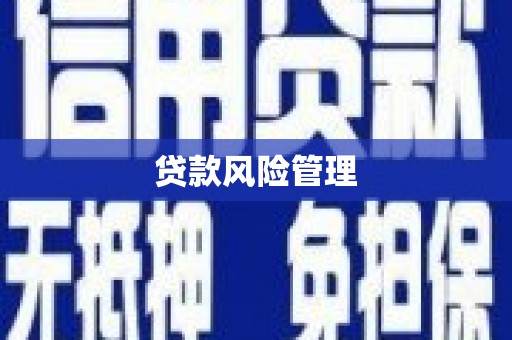 宾川贷款风险管理