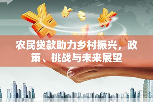 宾川农民贷款助力乡村振兴，政策、挑战与未来展望