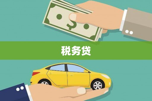 宾川税务贷