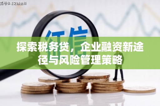宾川探索税务贷，企业融资新途径与风险管理策略