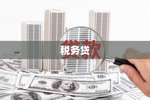 宾川税务贷