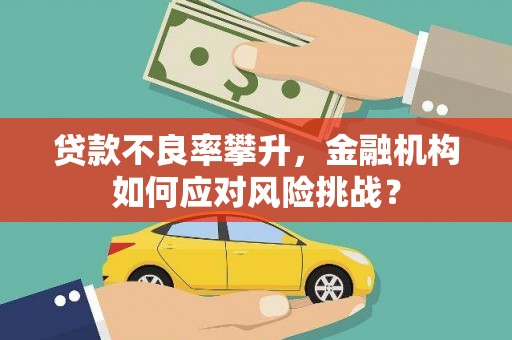 宾川贷款不良率攀升，金融机构如何应对风险挑战？