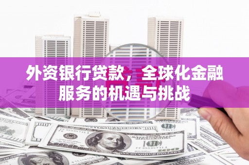 宾川外资银行贷款，全球化金融服务的机遇与挑战