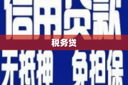 宾川税务贷