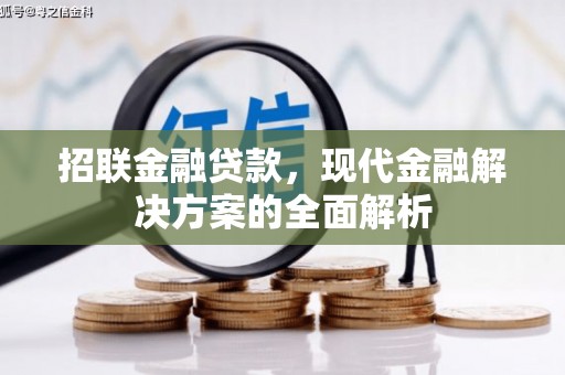 宾川招联金融贷款，现代金融解决方案的全面解析
