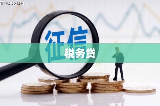 宾川税务贷