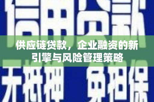 宾川供应链贷款，企业融资的新引擎与风险管理策略