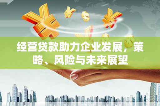 宾川经营贷款助力企业发展，策略、风险与未来展望