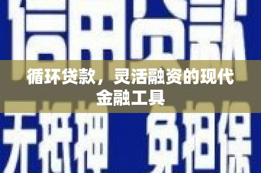 宾川循环贷款，灵活融资的现代金融工具