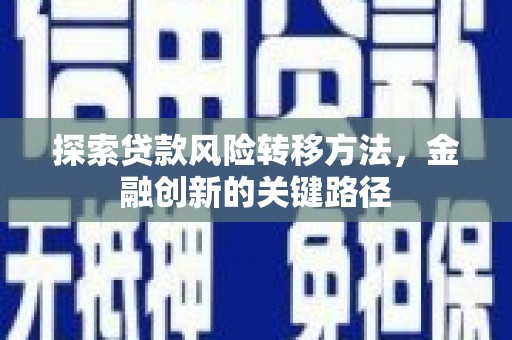 宾川探索贷款风险转移方法，金融创新的关键路径