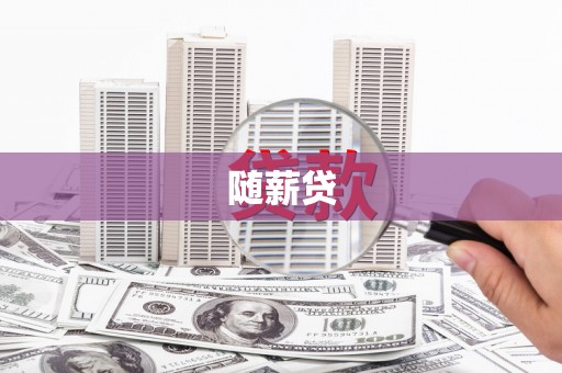 宾川随薪贷