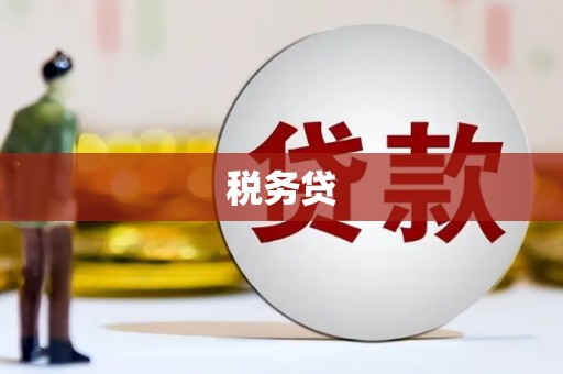 宾川税务贷