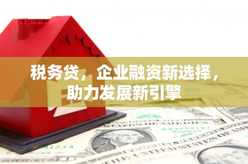 宾川税务贷，企业融资新选择，助力发展新引擎