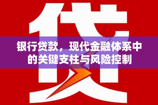 宾川银行贷款，现代金融体系中的关键支柱与风险控制