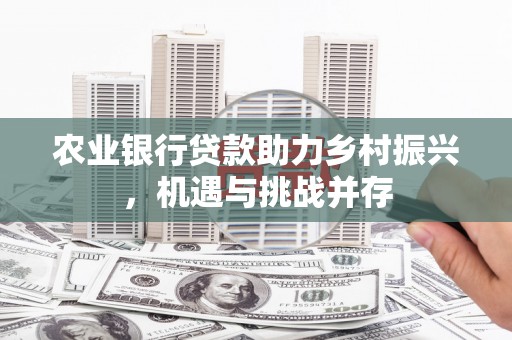 宾川农业银行贷款助力乡村振兴，机遇与挑战并存