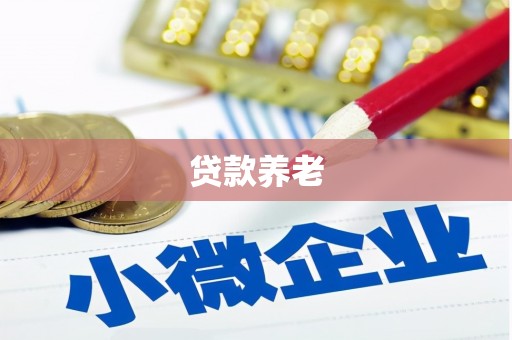 宾川贷款养老