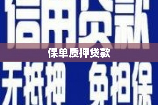 宾川保单质押贷款