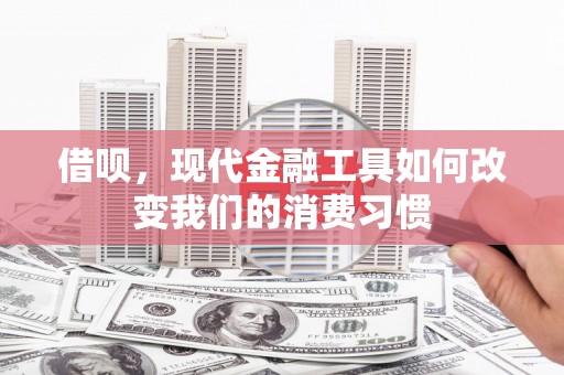 宾川借呗，现代金融工具如何改变我们的消费习惯