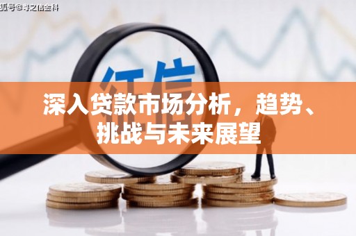 宾川深入贷款市场分析，趋势、挑战与未来展望
