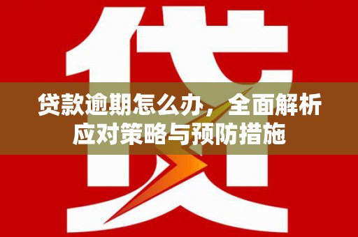 宾川贷款逾期怎么办，全面解析应对策略与预防措施
