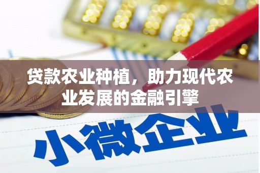 宾川贷款农业种植，助力现代农业发展的金融引擎