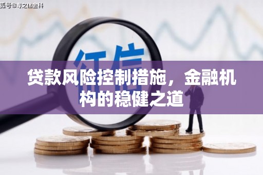 宾川贷款风险控制措施，金融机构的稳健之道