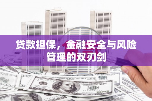 宾川贷款担保，金融安全与风险管理的双刃剑