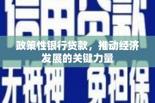 宾川政策性银行贷款，推动经济发展的关键力量