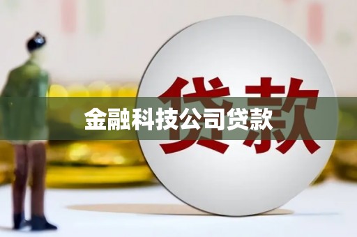 宾川金融科技公司贷款