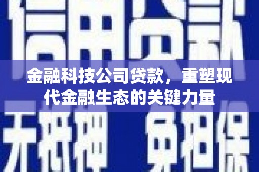 宾川金融科技公司贷款，重塑现代金融生态的关键力量