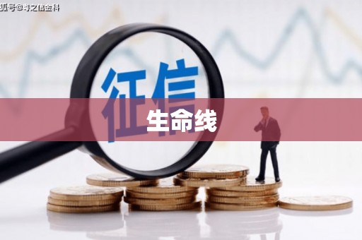 宾川生命线