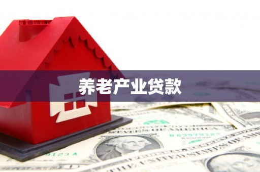 宾川养老产业贷款