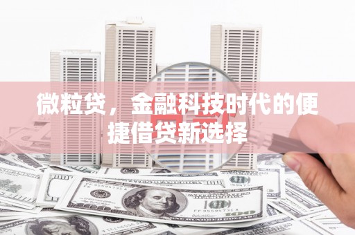 宾川微粒贷，金融科技时代的便捷借贷新选择